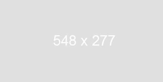 Premium Magento themes